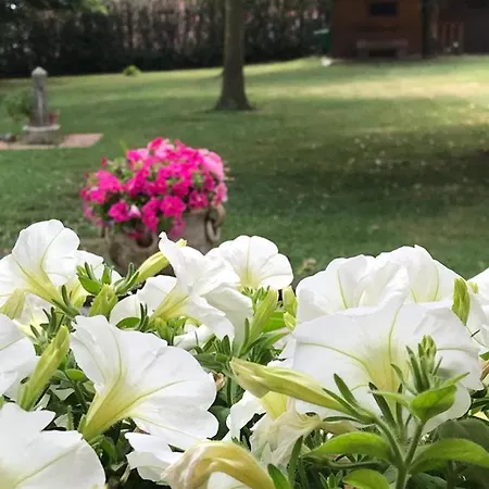 Hébergement de vacances Casa Gina & Jeto Farra di Soligo