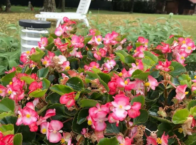 Casa Gina & Jeto Farra di Soligo