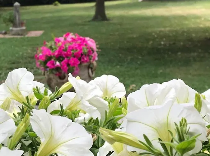 Сasa de vacaciones Casa Gina&jeto Farra di Soligo