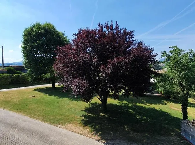 Casa Gina & Jeto Farra di Soligo